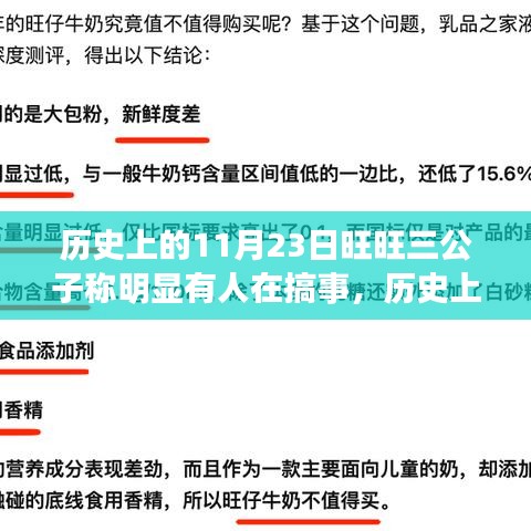 揭秘，历史上的今天——旺旺三公子背后的风云变幻与11月23日的神秘事件回顾