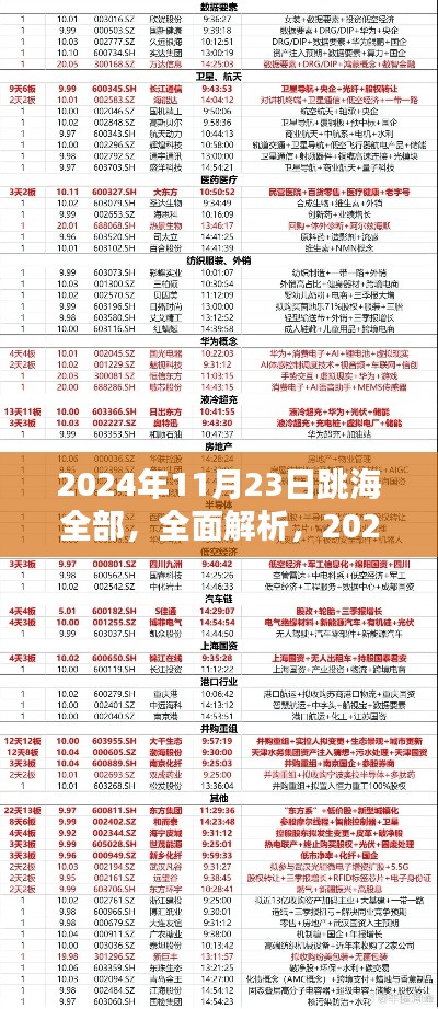 2024年11月23日跳海全解析与产品深度评测介绍