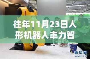 往年11月23日人形机器人丰力智能，丰力智能人形机器人，回顾发展历程，展望技术未来