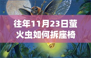 揭秘，萤火虫座椅拆解的独特行为——往年11月23日的观察与揭秘