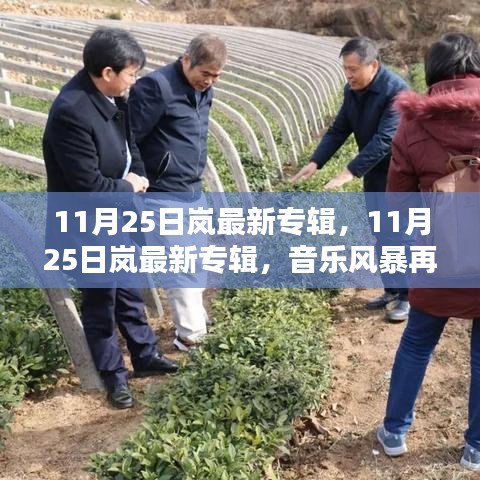 11月25日岚最新专辑，11月25日岚最新专辑，音乐风暴再次来袭，聆听岚的独特魅力！