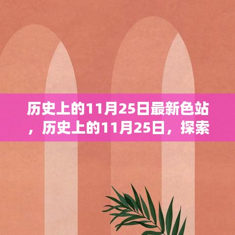 历史上的11月25日，最新色站的奇妙探索之旅与内心平和绿洲的追寻