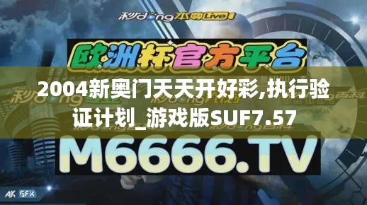 2004新奥门天天开好彩,执行验证计划_游戏版SUF7.57