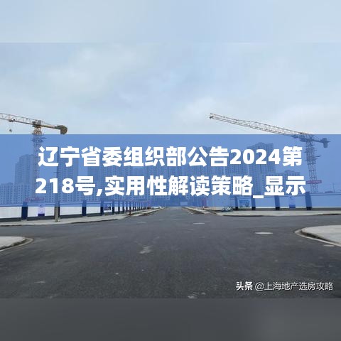 辽宁省委组织部公告2024第218号,实用性解读策略_显示版DJW7.40