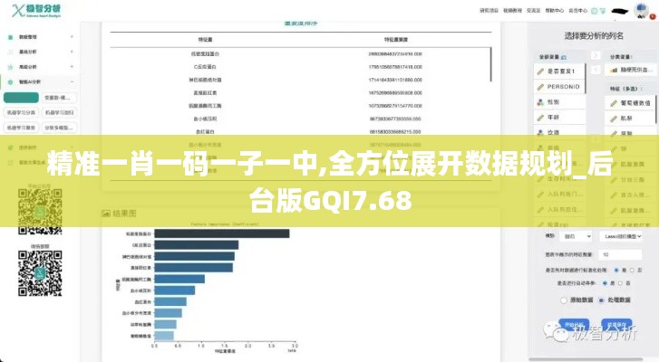 精准一肖一码一子一中,全方位展开数据规划_后台版GQI7.68