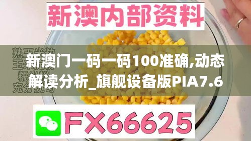 新澳门一码一码100准确,动态解读分析_旗舰设备版PIA7.60