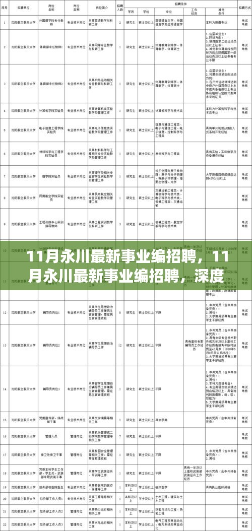 11月永川事业编招聘深度解读与观点阐述，最新招聘信息汇总