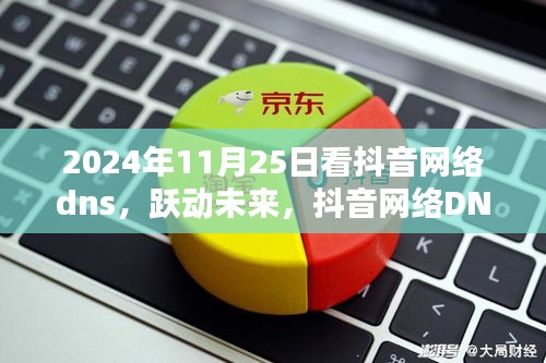 抖音网络DNS下的励志之光，跃动未来的励志故事（2024年11月25日）