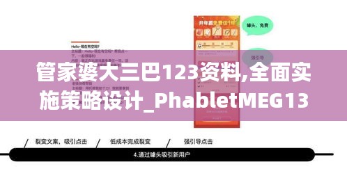 管家婆大三巴123资料,全面实施策略设计_PhabletMEG13.3