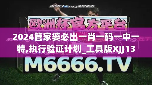 2024管家婆必出一肖一码一中一特,执行验证计划_工具版XJJ13.69