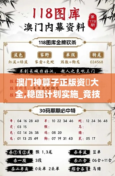 澳门神算子正版资枓大全,稳固计划实施_竞技版TJL13.42