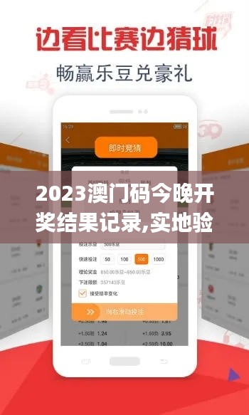 2023澳门码今晚开奖结果记录,实地验证策略具体_专业版HQY13.6