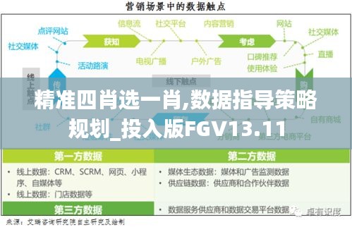 精准四肖选一肖,数据指导策略规划_投入版FGV13.11