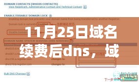 域名续费后DNS调整解析，利弊探究与策略选择指南