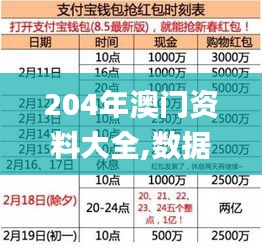 204年澳门资料大全,数据获取方案_性能版TJC13.35