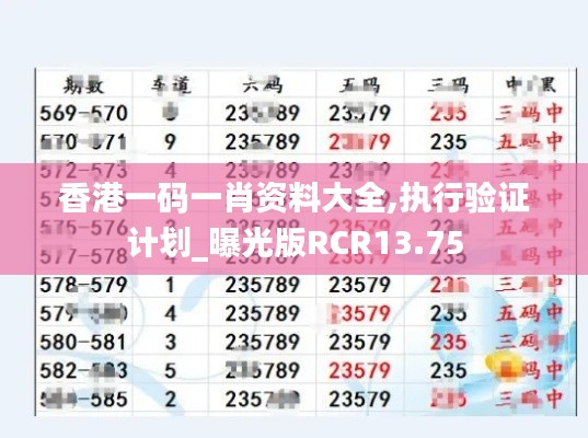 香港一码一肖资料大全,执行验证计划_曝光版RCR13.75