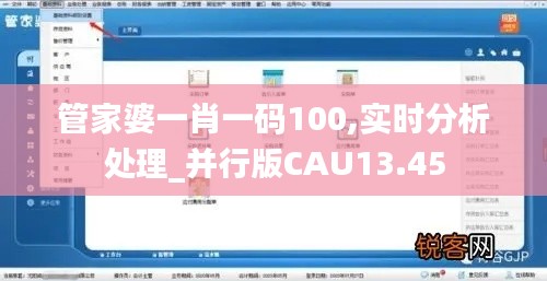 管家婆一肖一码100,实时分析处理_并行版CAU13.45