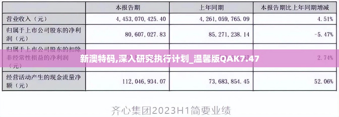 新澳特码,深入研究执行计划_温馨版QAK7.47