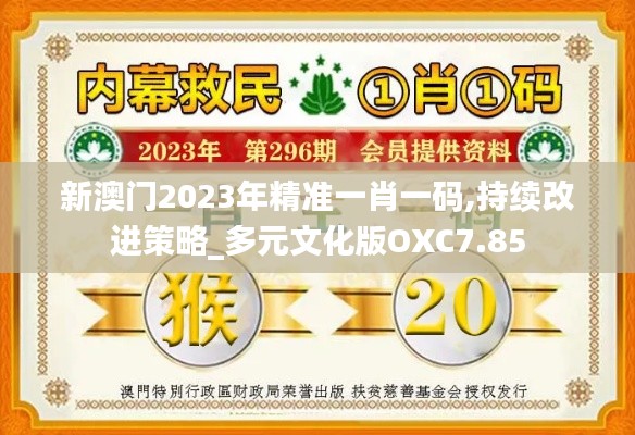 新澳门2023年精准一肖一码,持续改进策略_多元文化版OXC7.85