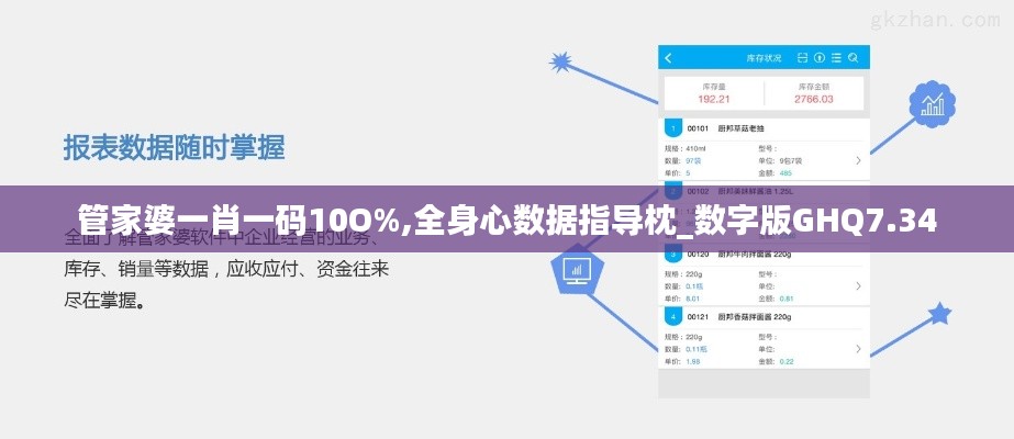 管家婆一肖一码10O%,全身心数据指导枕_数字版GHQ7.34