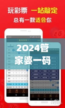 2O24管家婆一码一肖资料,实用性解读策略_流线型版CWL13.36