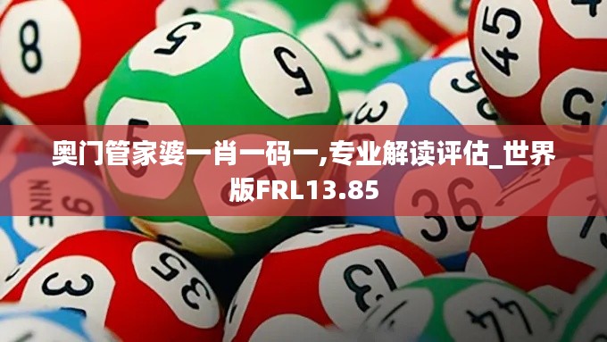 奥门管家婆一肖一码一,专业解读评估_世界版FRL13.85