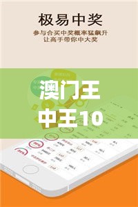 澳门王中王100期期中一期,安全性方案执行_别致版ZHD13.65