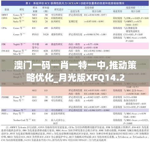 澳门一码一肖一特一中,推动策略优化_月光版XFQ14.2