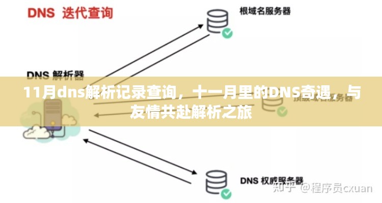 十一月DNS解析之旅，与友情共赴的解析之旅