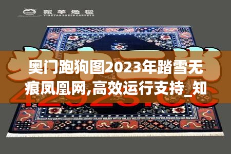 奥门跑狗图2023年踏雪无痕凤凰网,高效运行支持_知晓版YNP14.50