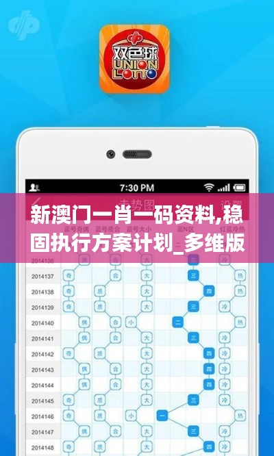 新澳门一肖一码资料,稳固执行方案计划_多维版GKH14.16