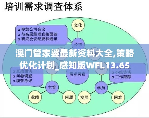 澳门管家婆最新资料大全,策略优化计划_感知版WFL13.65