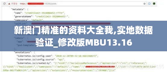 新澳门精准的资料大全我,实地数据验证_修改版MBU13.16