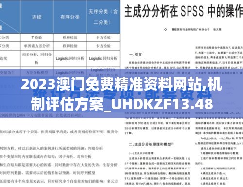 2023澳门免费精准资料网站,机制评估方案_UHDKZF13.48