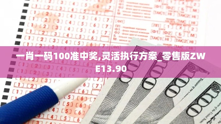 一肖一码100准中奖,灵活执行方案_零售版ZWE13.90