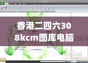 香港二四六308kcm图库电脑版,专业调查具体解析_全景版JIH13.56