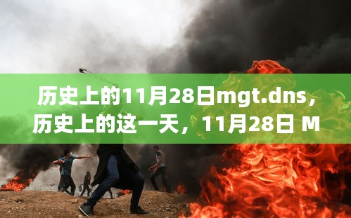 历史上的这一天，MGT.DNS在11月28日的里程碑事件与深远影响回顾。