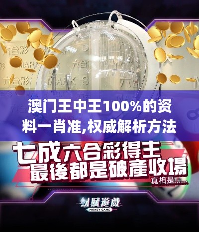 澳门王中王100%的资料一肖准,权威解析方法_黑科技版HUM13.84