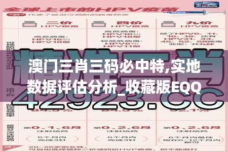 澳门三肖三码必中特,实地数据评估分析_收藏版EQQ13.25