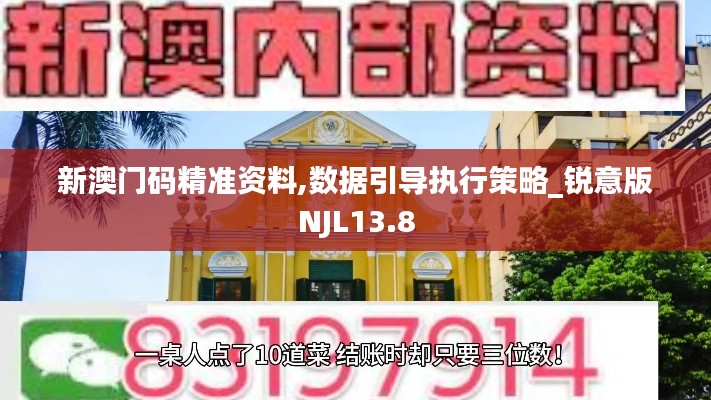 新澳门码精准资料,数据引导执行策略_锐意版NJL13.8