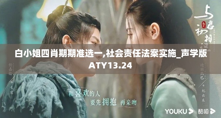 白小姐四肖期期准选一,社会责任法案实施_声学版ATY13.24