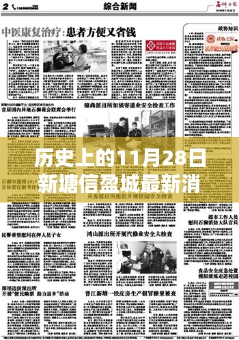 历史上的11月28日新塘信盈城最新消息，全面掌握相关资讯的步骤指南