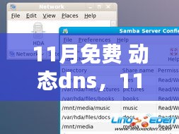 11月免费动态DNS产品全面解析与介绍