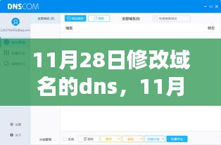 修改域名DNS，全面评测与介绍（时间，11月28日）