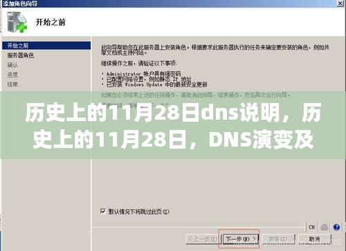 历史上的11月28日DNS演变及其影响，我的观点解析