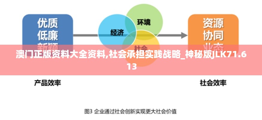 澳门正版资料大全资料,社会承担实践战略_神秘版JLK71.613