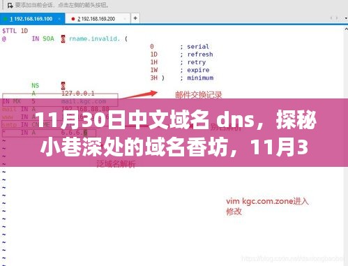 探秘域名香坊，揭秘不一样的中文域名与DNS故事（11月30日）