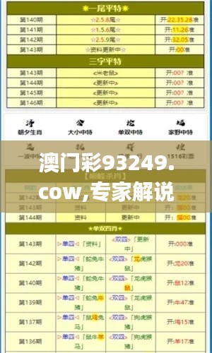 澳门彩93249.cow,专家解说解释定义_闪电版QRC67.513