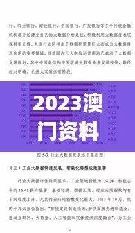 2023澳门资料大全免费,实地数据评估分析_神念境HSX90.541